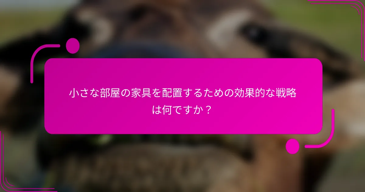 小さな部屋の家具を配置するための効果的な戦略は何ですか？